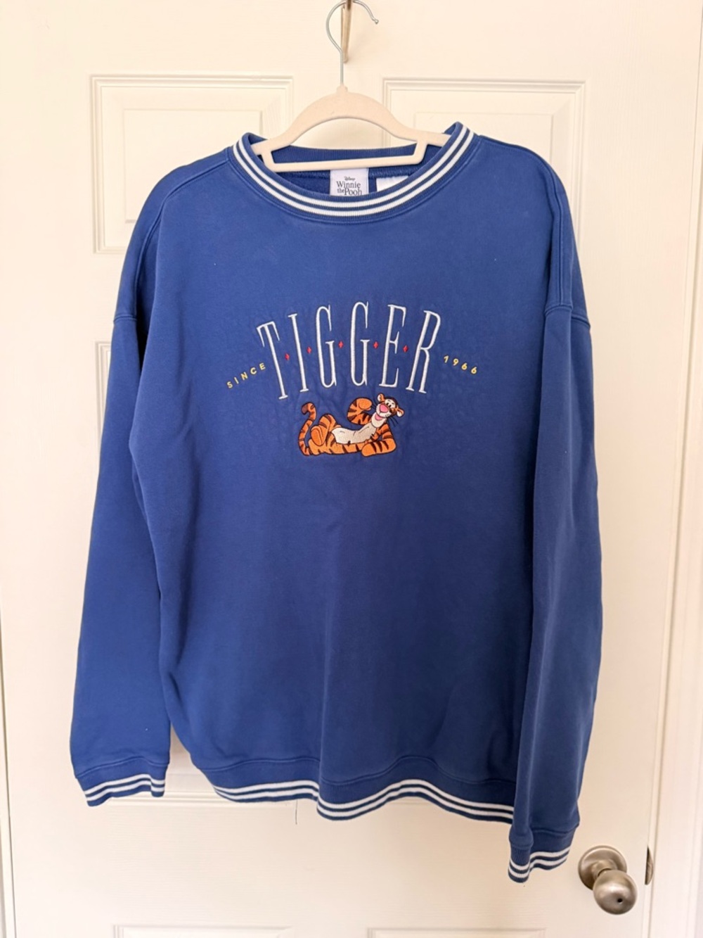 Disney Blue Tigger Crewneck Sweatshirt with Striped Trim